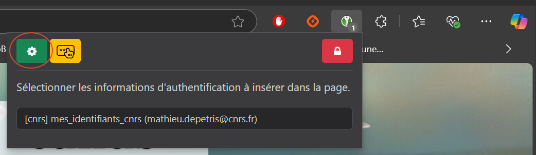 Figure 24: Browser extension settings