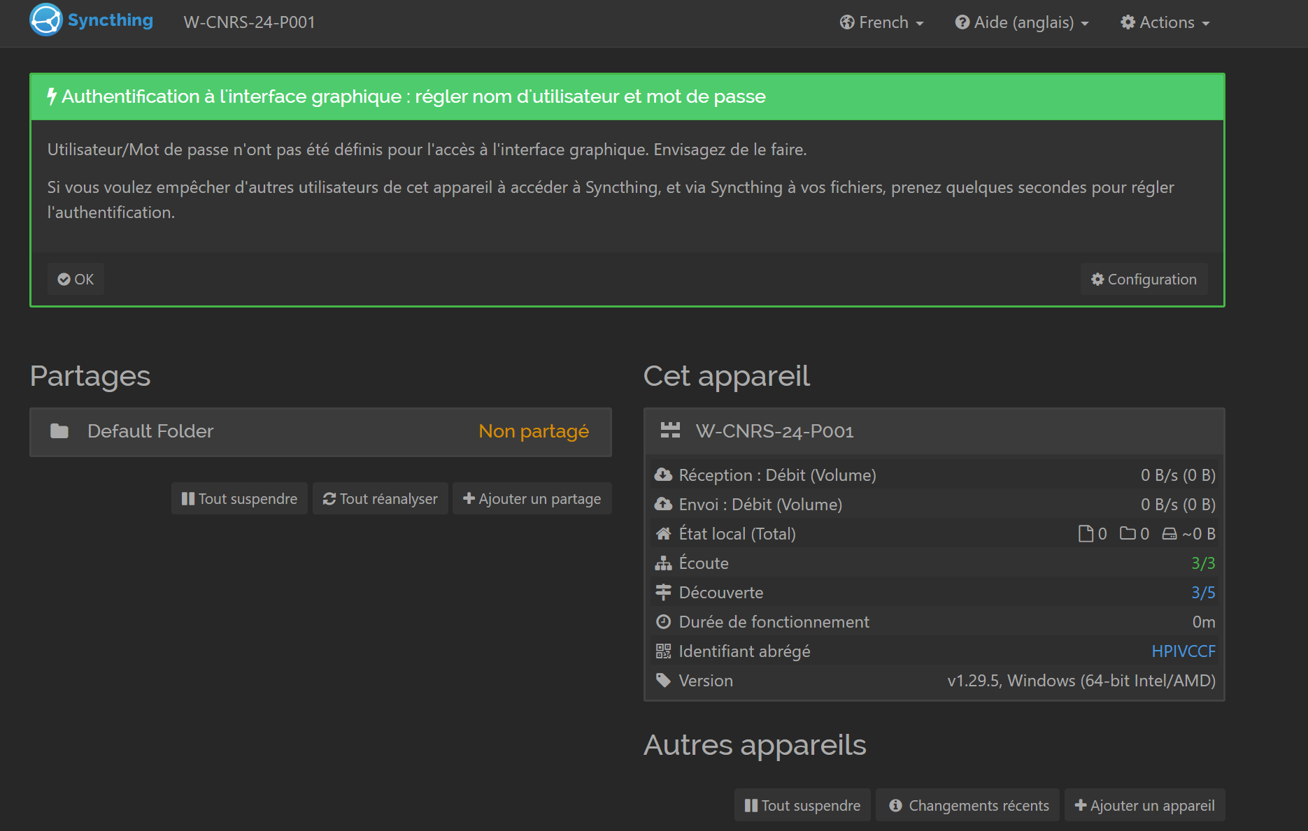 Figure 30 : Syncthing page globale