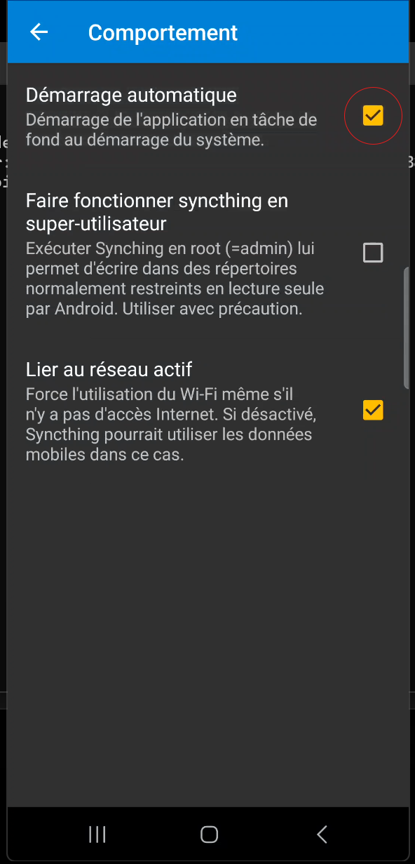 Figure 38 : Démarrage automatique de l'application